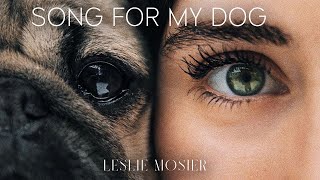 Song For My Dog  Leslie Mosier [upl. by Gerrie]