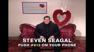 MADtv  Lowered Expectations Steven Seagal [upl. by Neiht]