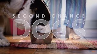 Second Chance Dogs [upl. by Htenay]