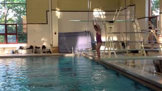 Teach a Flip for Springboard Diving [upl. by Om]