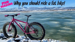 Five Reasons Why You Should Ride A Fat Bike  Top Five Reasons  fatbike [upl. by Noyar]