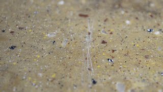 Removing Scratches From Countertops [upl. by Zinn]