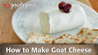 How to Make Organic Goat Cheese [upl. by Alys]