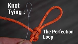 How To Add A Loop On Your Leader  How To Tie The Perfection Loop [upl. by Lebbie782]