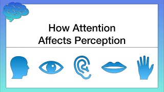 How Attention Affects Perception [upl. by Nilkoorb]