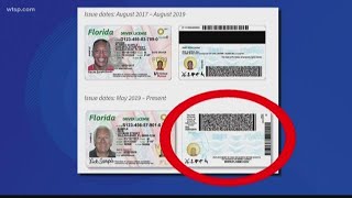 Florida drivers licenses getting upgrade [upl. by Ursulina]