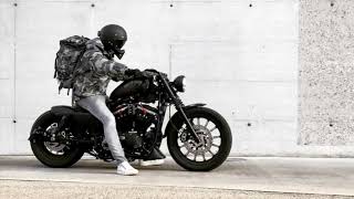 Sportster Iron 883 Brutal Sound [upl. by Barry]