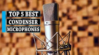 Condenser Mic 5 Best Condenser Microphones  You Can Buy [upl. by Htabmas417]