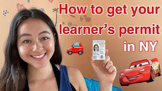 learn to drive HOW TO GET YOUR LEARNERS PERMIT IN NEW YORK  Alexia Kaybee [upl. by Florida]