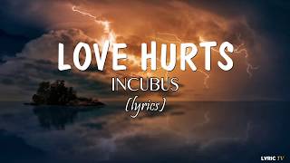 Love Hurts lyrics  Incubus [upl. by Ahsatak]