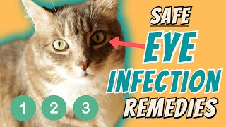 Eye Infection Home Remedies [upl. by Edge736]