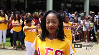 Alpha Tau Chapter of Delta Sigma Theta Yard Show Spring 2015 [upl. by Selden785]