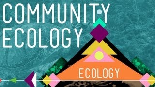 Community Ecology Feel the Love  Crash Course Ecology 4 [upl. by Anaiuq]