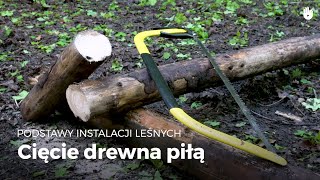 Cięcie drewna piłą  Instalacje leśne [upl. by Erdried788]