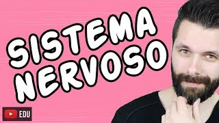 SISTEMA NERVOSO  FISIOLOGIA  Aula  Biologia com Samuel Cunha [upl. by Ariat490]