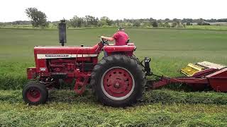 IH 856 cutting alfalfa w NH 489 Haybine [upl. by Odraccir]