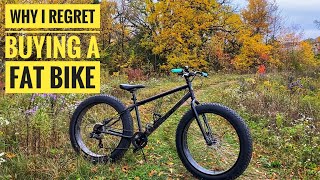 Why i Regret Buying a Fat Bike [upl. by Annaig479]