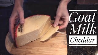 Goat Milk Cheddar  Cheesemaking at Home [upl. by Wolbrom722]