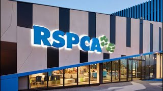 RSPCA  Pet Adoption in Melbourne [upl. by Tran]