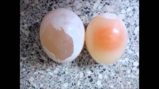 Experimento ósmosis con huevos [upl. by Tu]