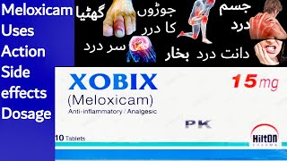 xobix tablet used for in urdu  xobix 15 mg tablet uses  xobix 15 mg  meloxicam  xobix meloxicam [upl. by Yendor]