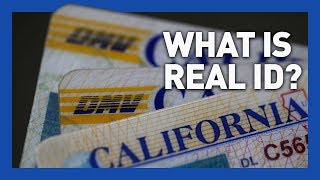 REAL ID Explained Everything You Need to Know [upl. by Nosirrah]