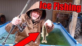 ICE FISHING in my POOL POND [upl. by Riamo]