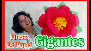 DIY  Como Hacer Flores De Papel Crepe  GIGANTES [upl. by Eledoya188]