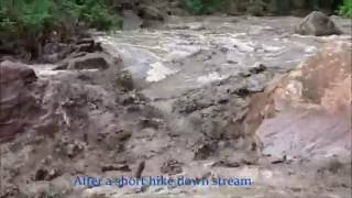 Historic Flash Flood in Zion National Park PEOPLE TRAPPED The Narrows [upl. by Stevenson990]