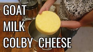 Homemade Colby Cheese Made From Goats Milk [upl. by Notsnhoj]