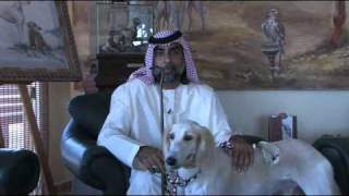 The Arabian Saluki Center [upl. by Nirrok]