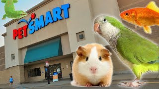 EXPLORING PETSMART  ANIMAL FRIENDS EVERYWHERE [upl. by Berkman303]