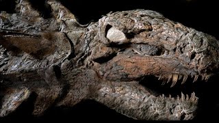 10 Most AMAZING Fossil Discoveries Ever Made [upl. by Areivax]