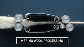 Wool Production and Processing [upl. by Humfrid428]