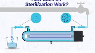 How Does UV Sterilization Work [upl. by Sirret849]