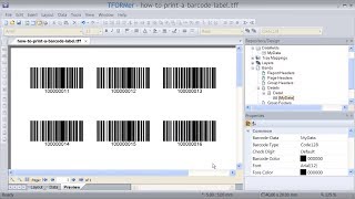 Print Barcode Labels with Professional Labeling Software [upl. by Henleigh96]