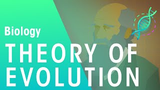 The Theory of Evolution by Natural Selection  Evolution  Biology  FuseSchool [upl. by Hassett357]