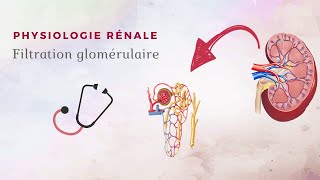 Introduction au système endocrinien [upl. by Sima]