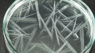 Fast Crystallization Experiment [upl. by Jadda]