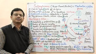 Diabetes Mellitus Part10 Mechanism of Action of Sulfonylurease  Antidiabetic Drugs  Diabetes [upl. by Alyt]