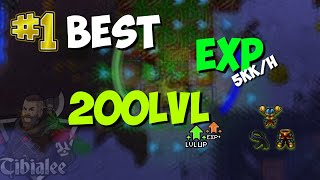 BEST EXP SPAWNS FOR LEVEL 200 PALADINS 1 EPISODE ORAMOND WEST TIBIA [upl. by Jenni]