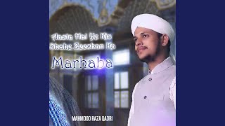 Astan Hai Ye Kis Shahe Zeeshan Ka Marhaba [upl. by Smukler76]