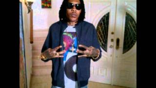 Vybz Kartel  Party Me Say Worldwide Riddim Feb 2012 [upl. by Tohcnarf671]