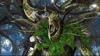 The Witcher 3 Wild Hunt Woodland Spirit Ancient Leshen [upl. by Annaek961]