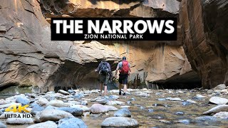 The Narrows  Zion National Park  A Beginners Guide [upl. by Alikam]