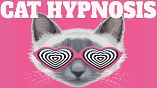 Sound To Calm Cats Within Minutes  Cat Hypnosis [upl. by Neona268]