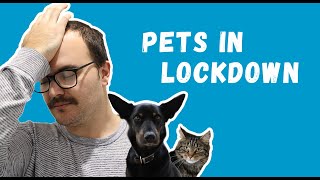 Working from home with pets  RSPCA South Australia [upl. by Bernj]