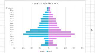 How to make a Population Pyramid in Excel [upl. by Bowden]