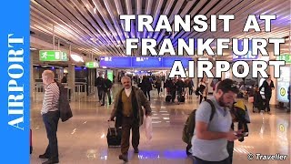 TRANSIT WALK AT FRANKFURT Airport FRA Terminal 1  Connection Flight Transfer Arriving amp Departing [upl. by Cowen]