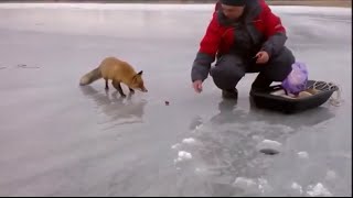 Ice Fishing Adventures [upl. by Beatty58]